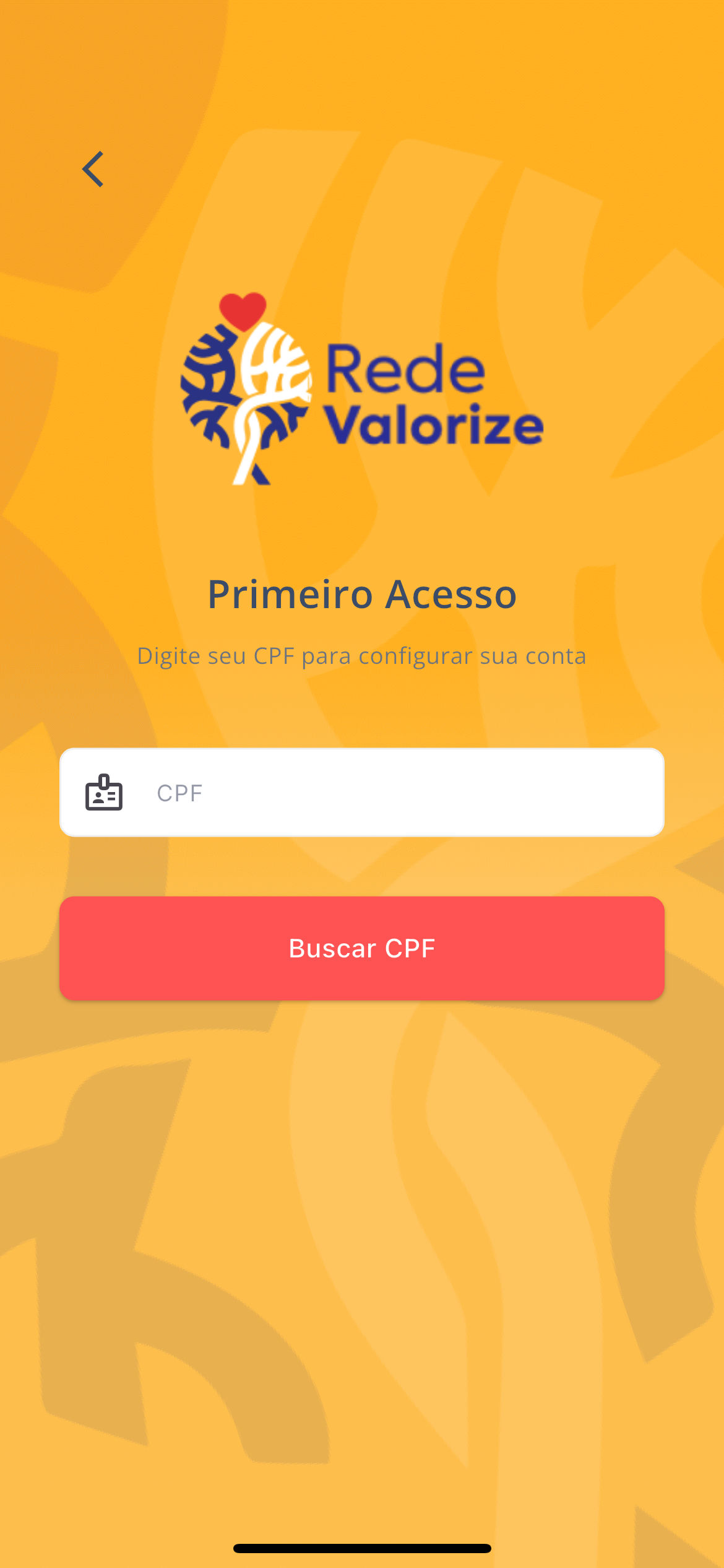 Tela 2 de 2 do passo 02: Faça seu primeiro acesso